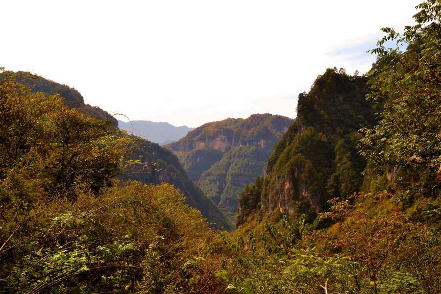 DSC_0716_副本.jpg