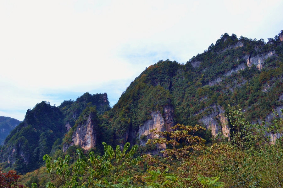 DSC_0719_副本.jpg