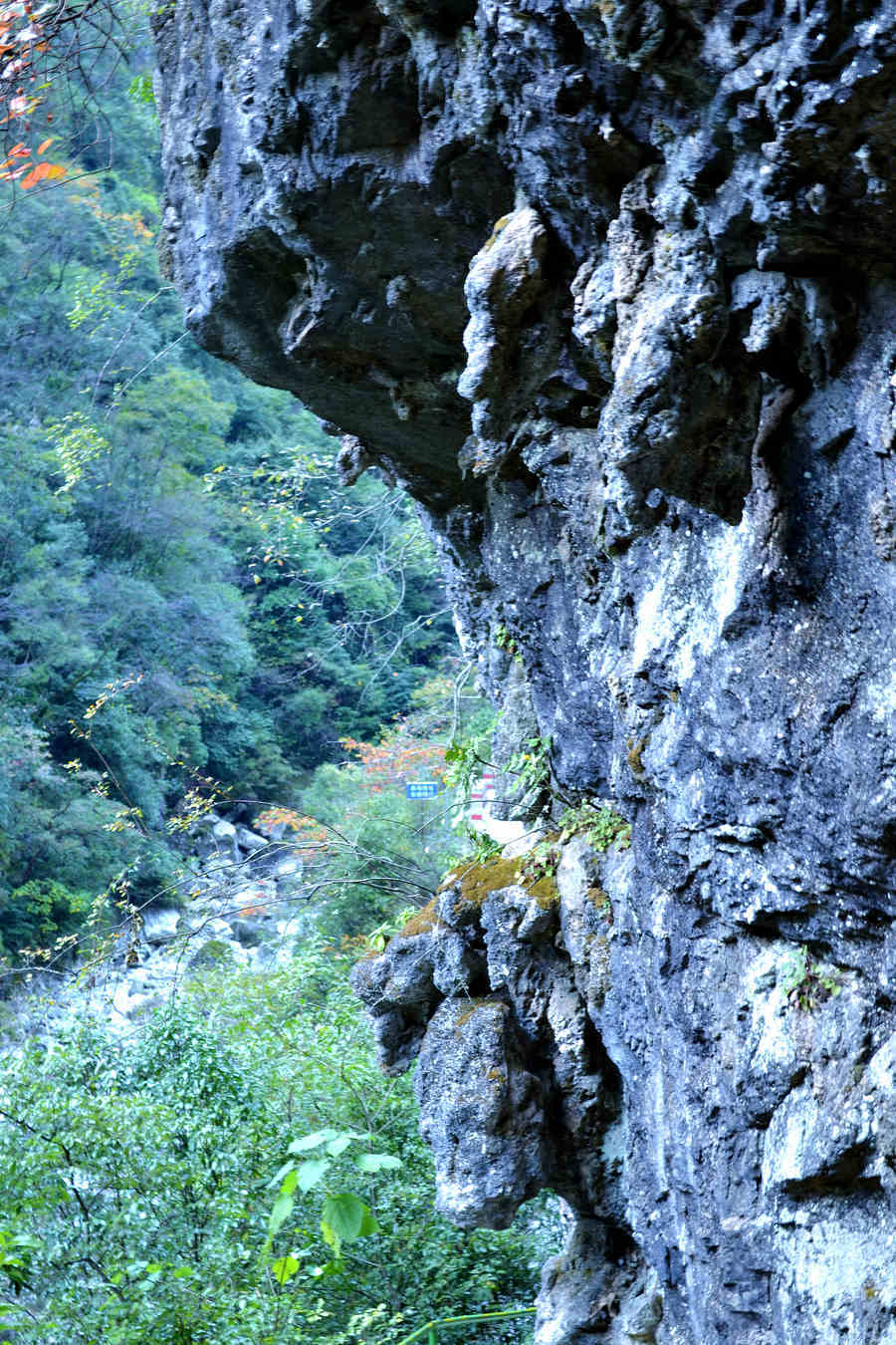 DSC_0785_副本.jpg