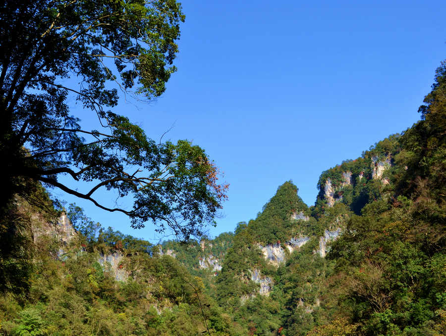 DSC_0789_副本.jpg