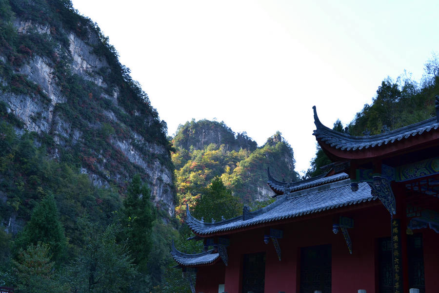 DSC_0865_副本.jpg