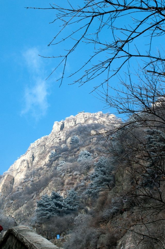 IMGP7665.JPG
