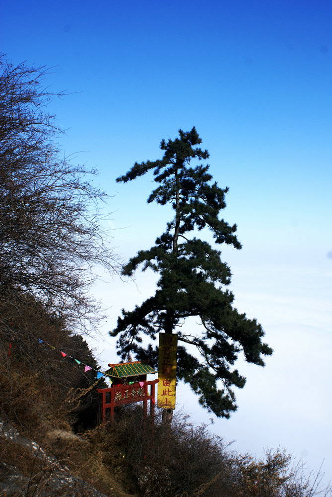 DSC04735_副本.jpg
