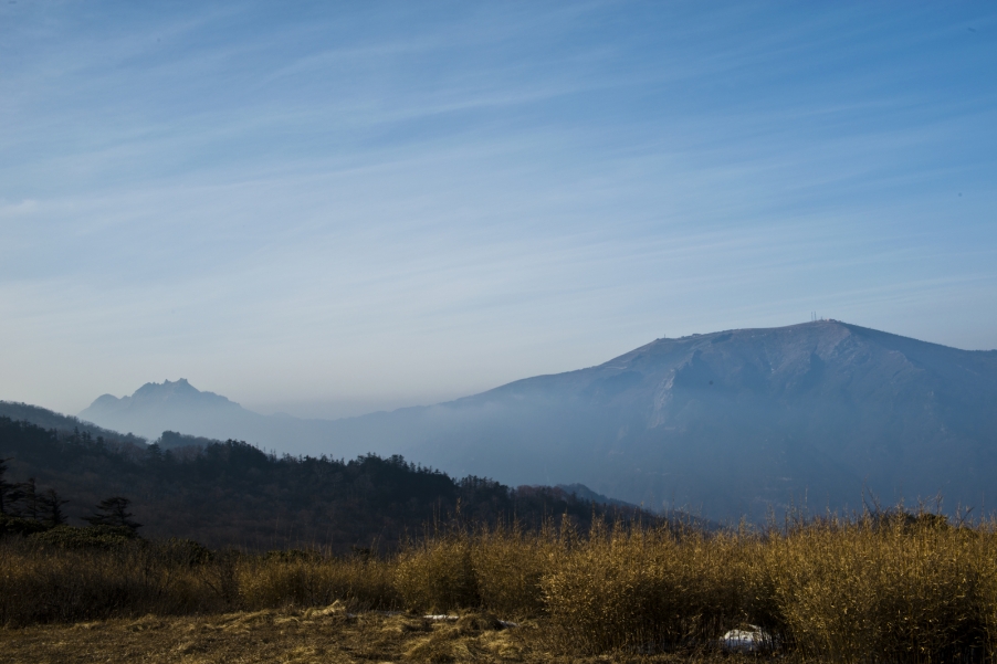 高山草甸 117.jpg