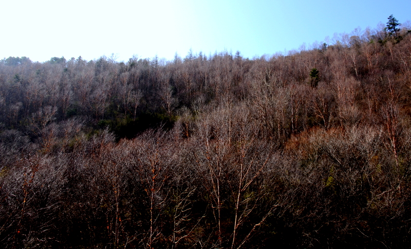 DSC_0270.jpg
