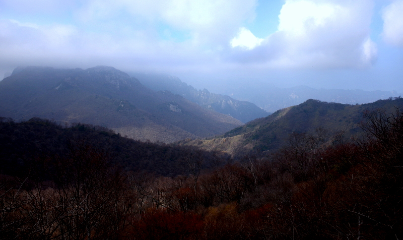 DSC_0279.jpg