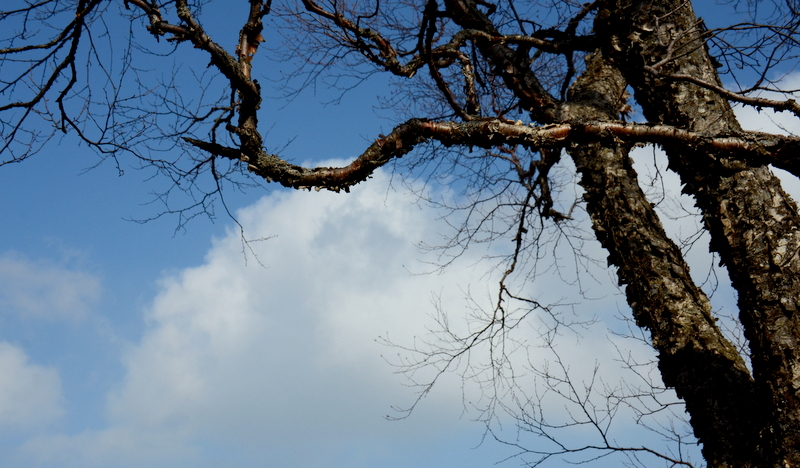 DSC_0346.jpg