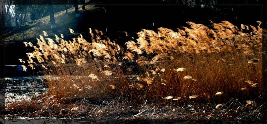 DSCF327754.jpg