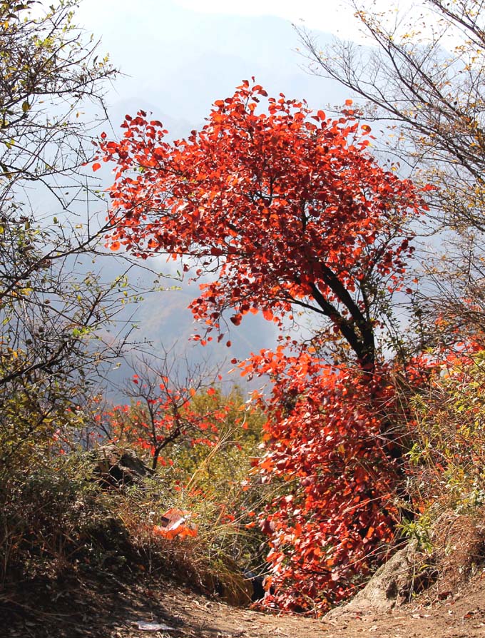 IMG_3745 副本.jpg