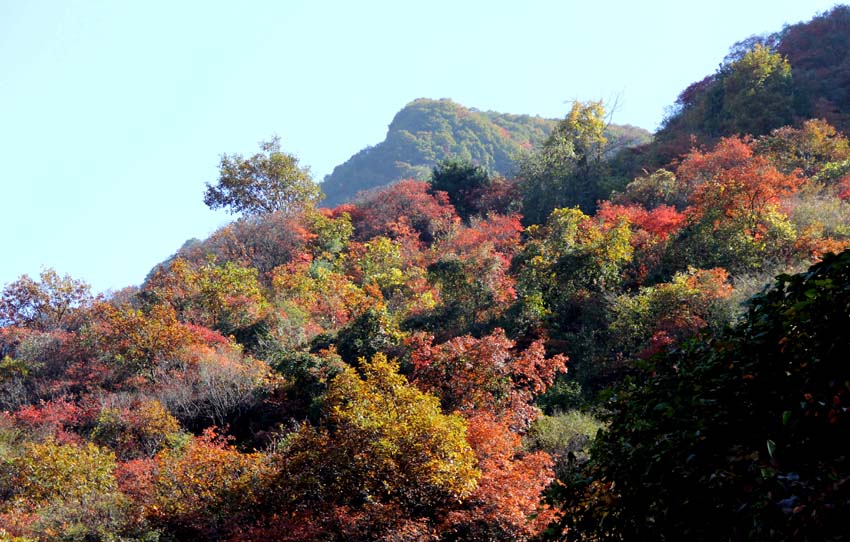 IMG_3581 副本.jpg