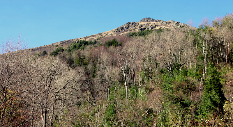 IMG_1940.JPG