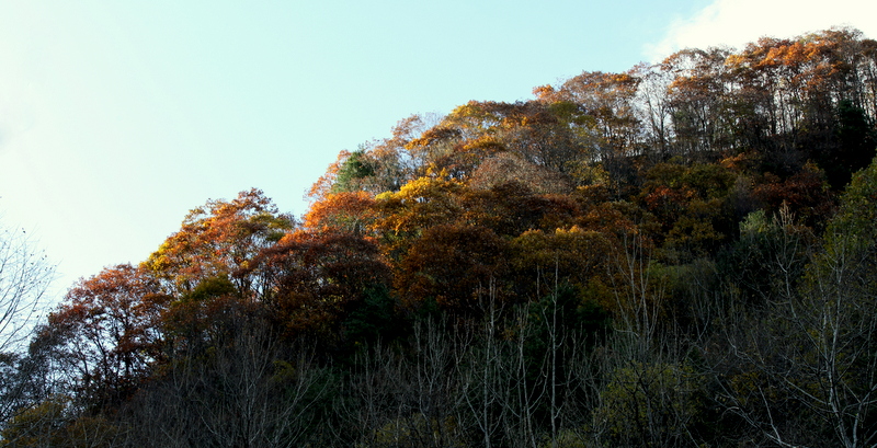 IMG_1960.JPG