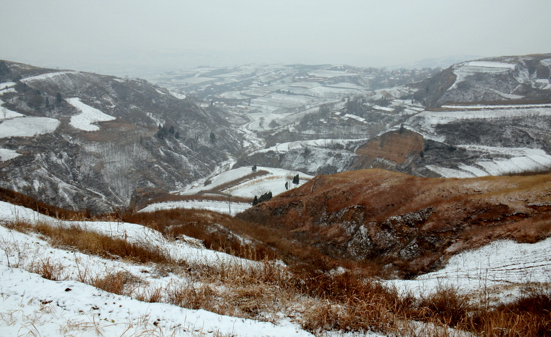 DSC_1822.jpg