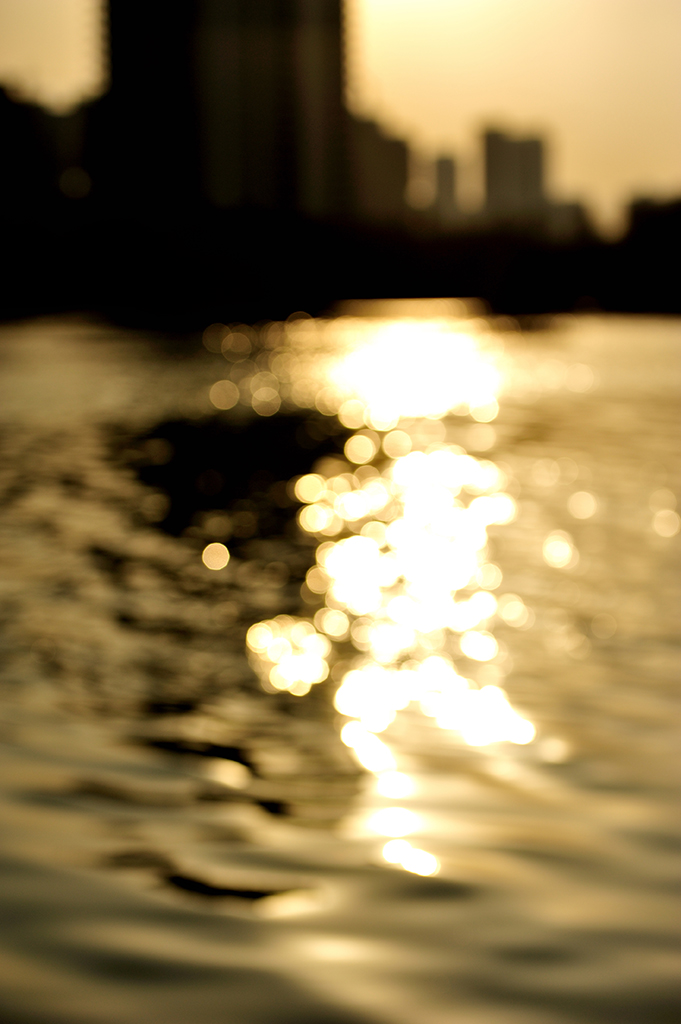 DSC_2570.jpg