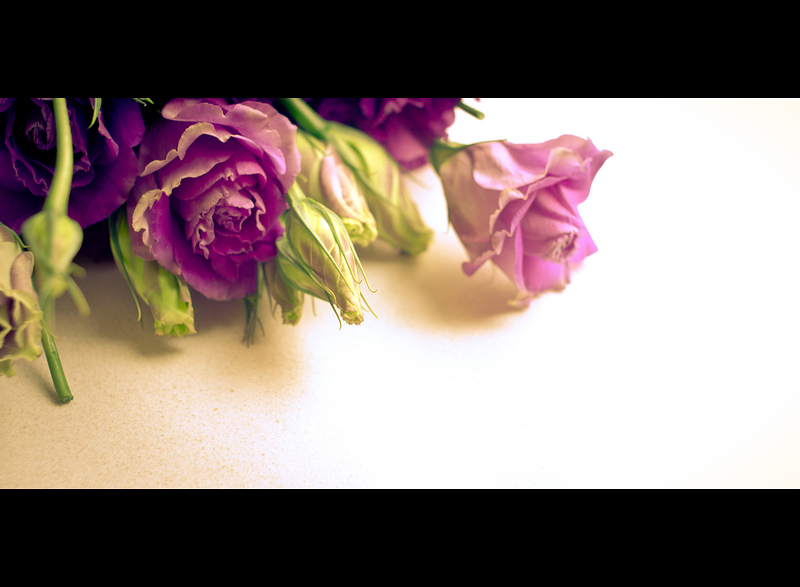_MG_6091.jpg