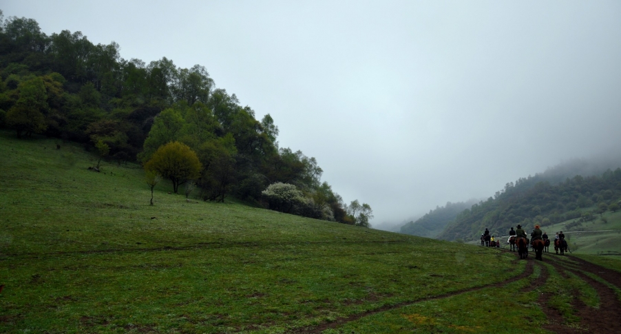 DSC_0121.jpg