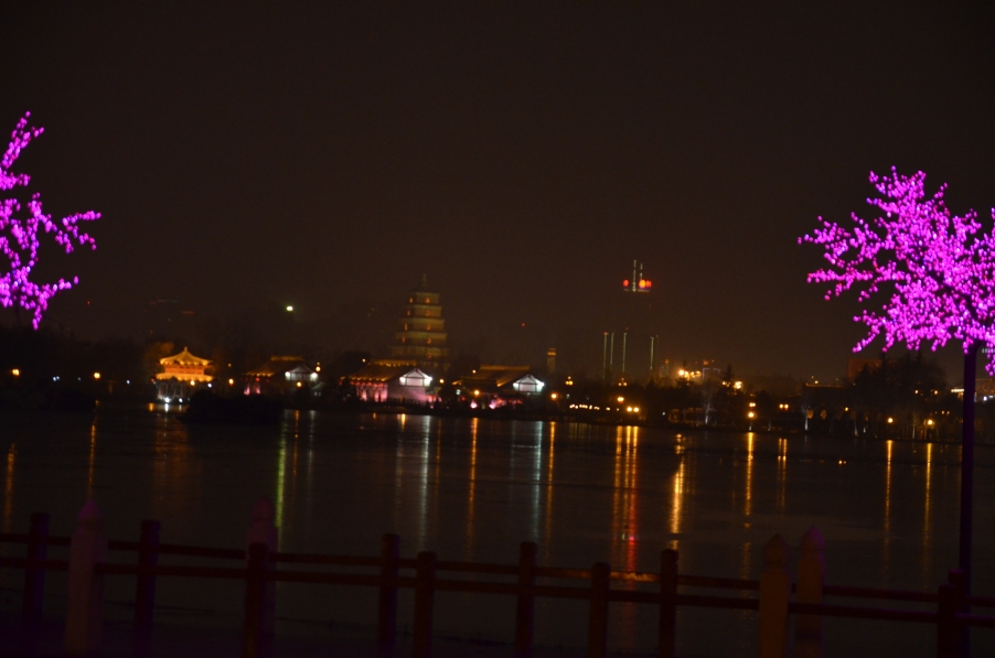 DSC_0551.JPG