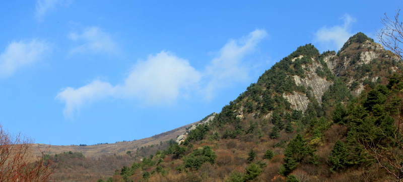 IMG_1766.JPG