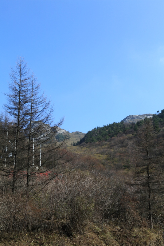 IMG_1767.JPG