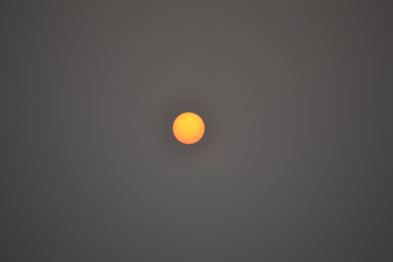 DSC_1361.jpg