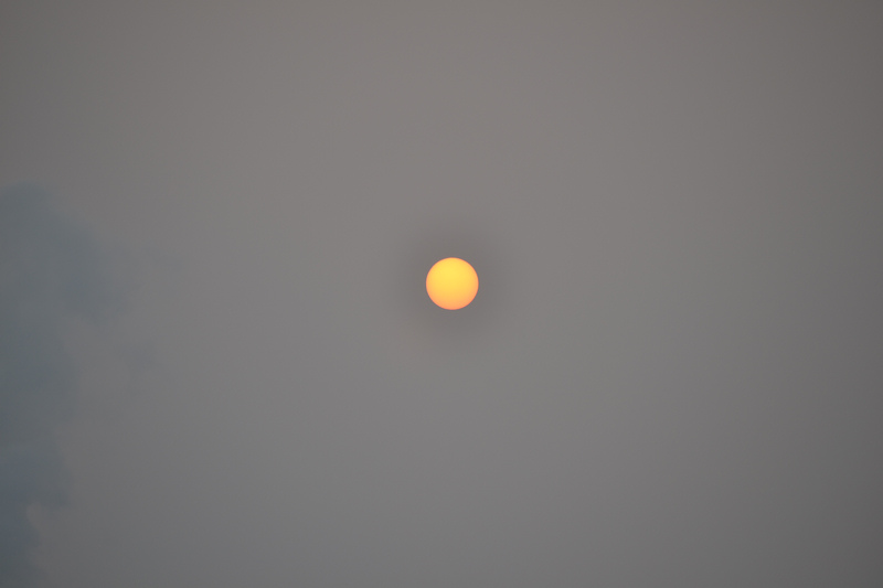 DSC_1356.jpg