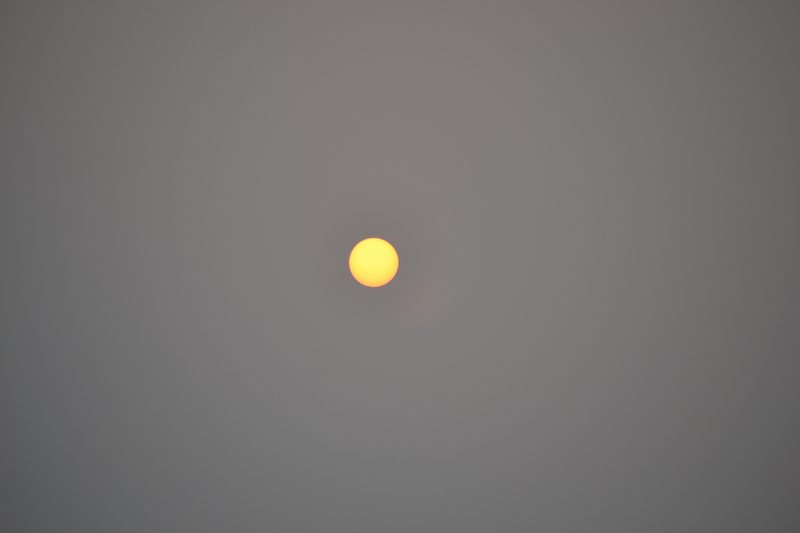 DSC_1359.jpg