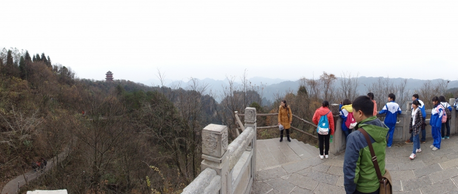 DSC02992.JPG