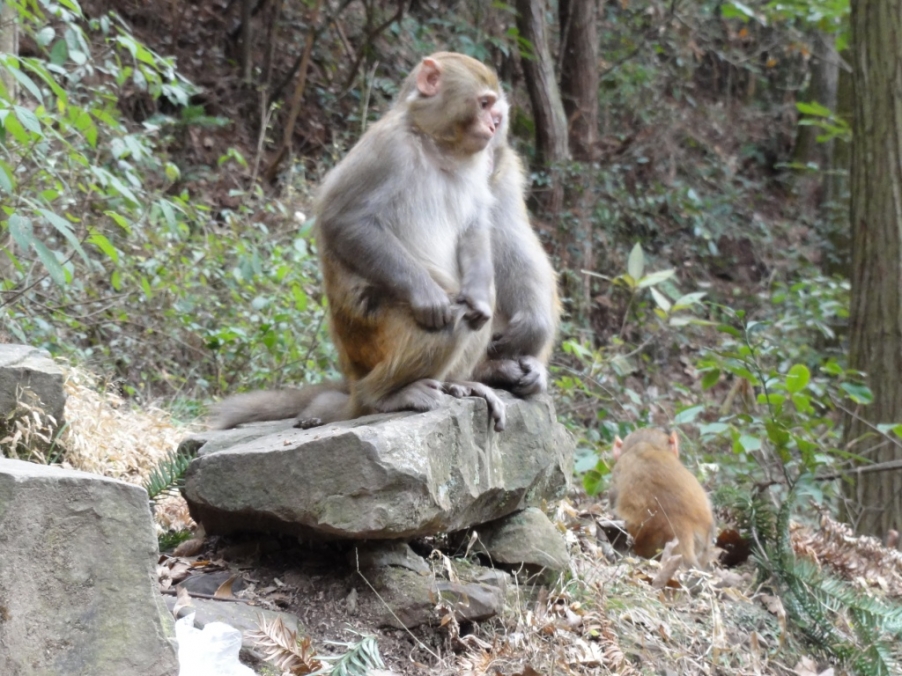 DSC02727.JPG