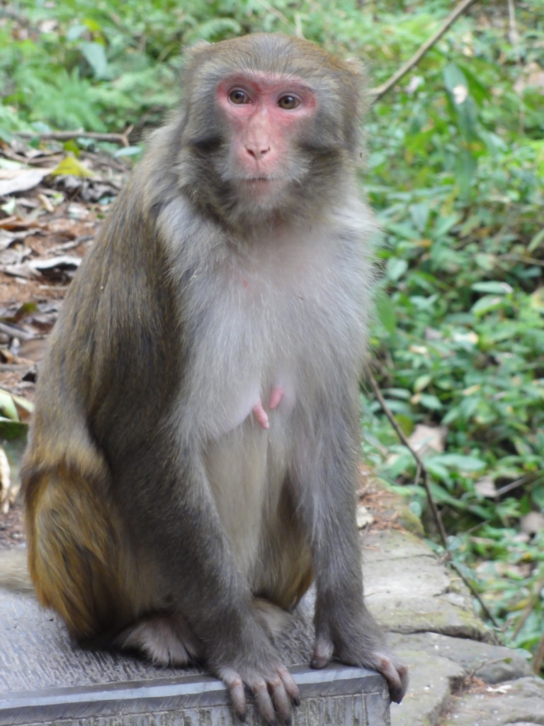 DSC02744.JPG