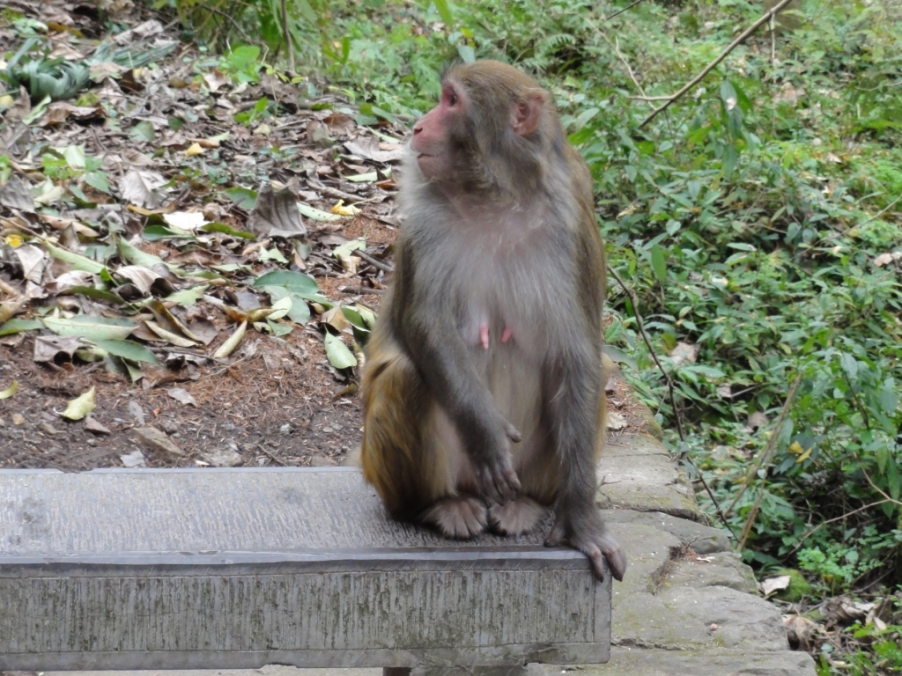 DSC02745.JPG