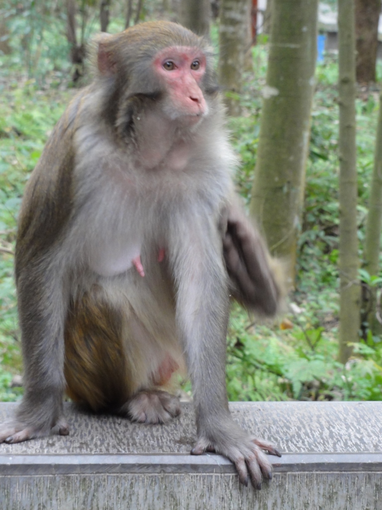 DSC02758.JPG