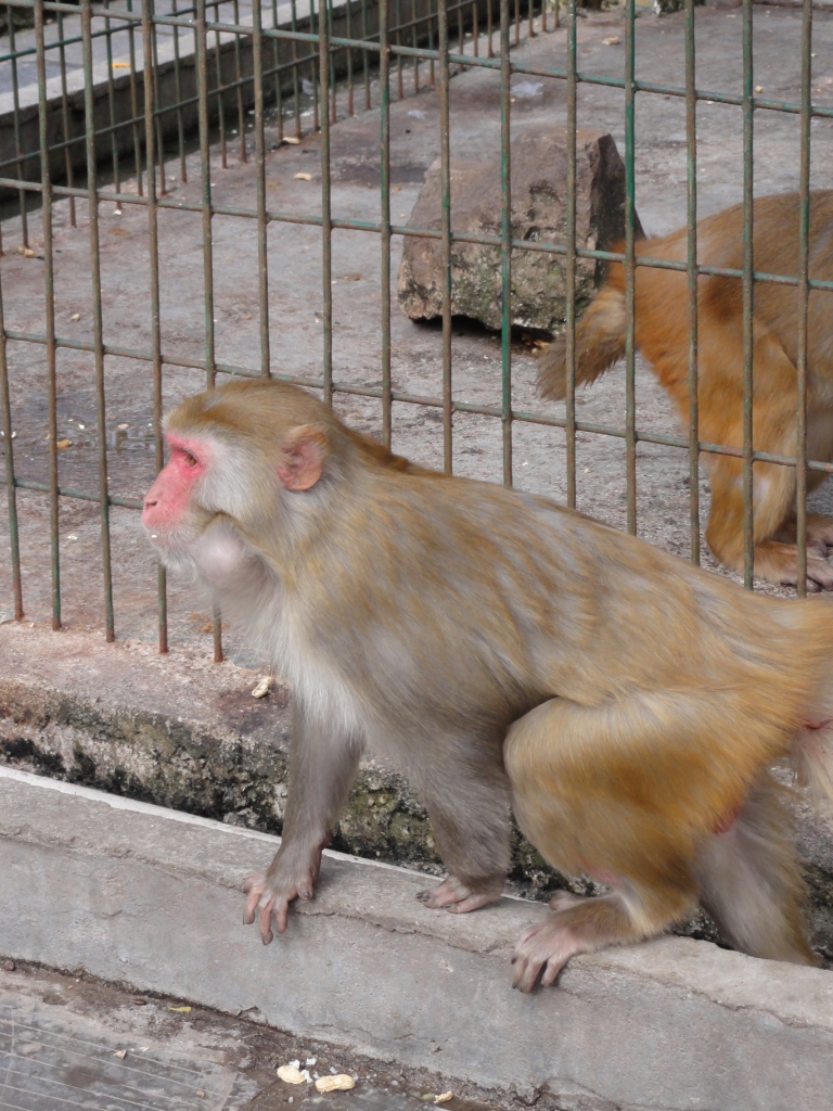 DSC03051.JPG