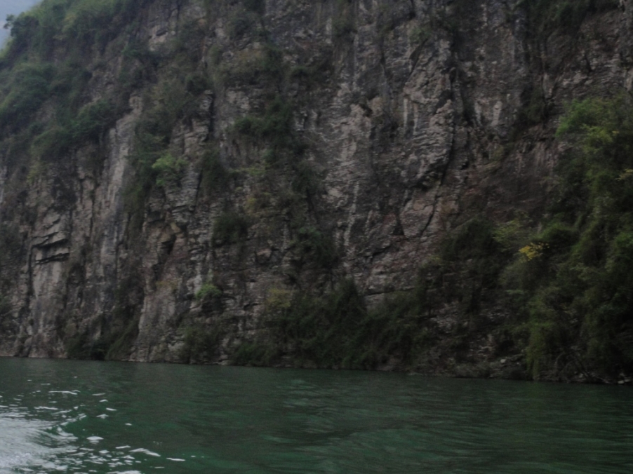 DSC02394.JPG