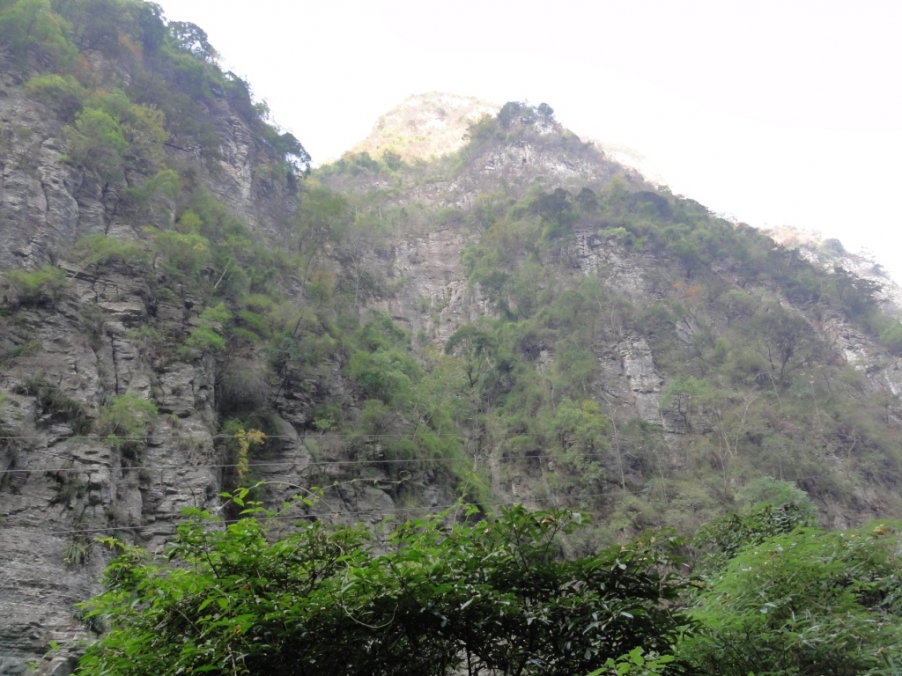 DSC02418.JPG