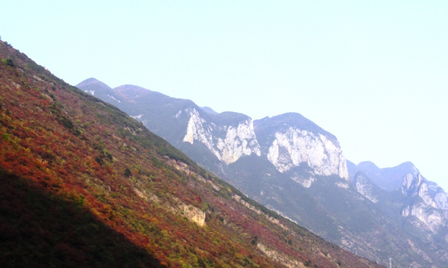 DSC02423.JPG