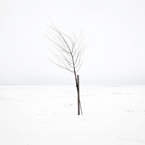 180306w1uw3s6sw1zs16p8.jpg