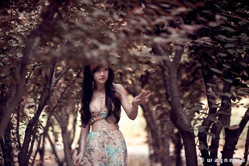 175229ispiwhll5hwlb8y6.jpg