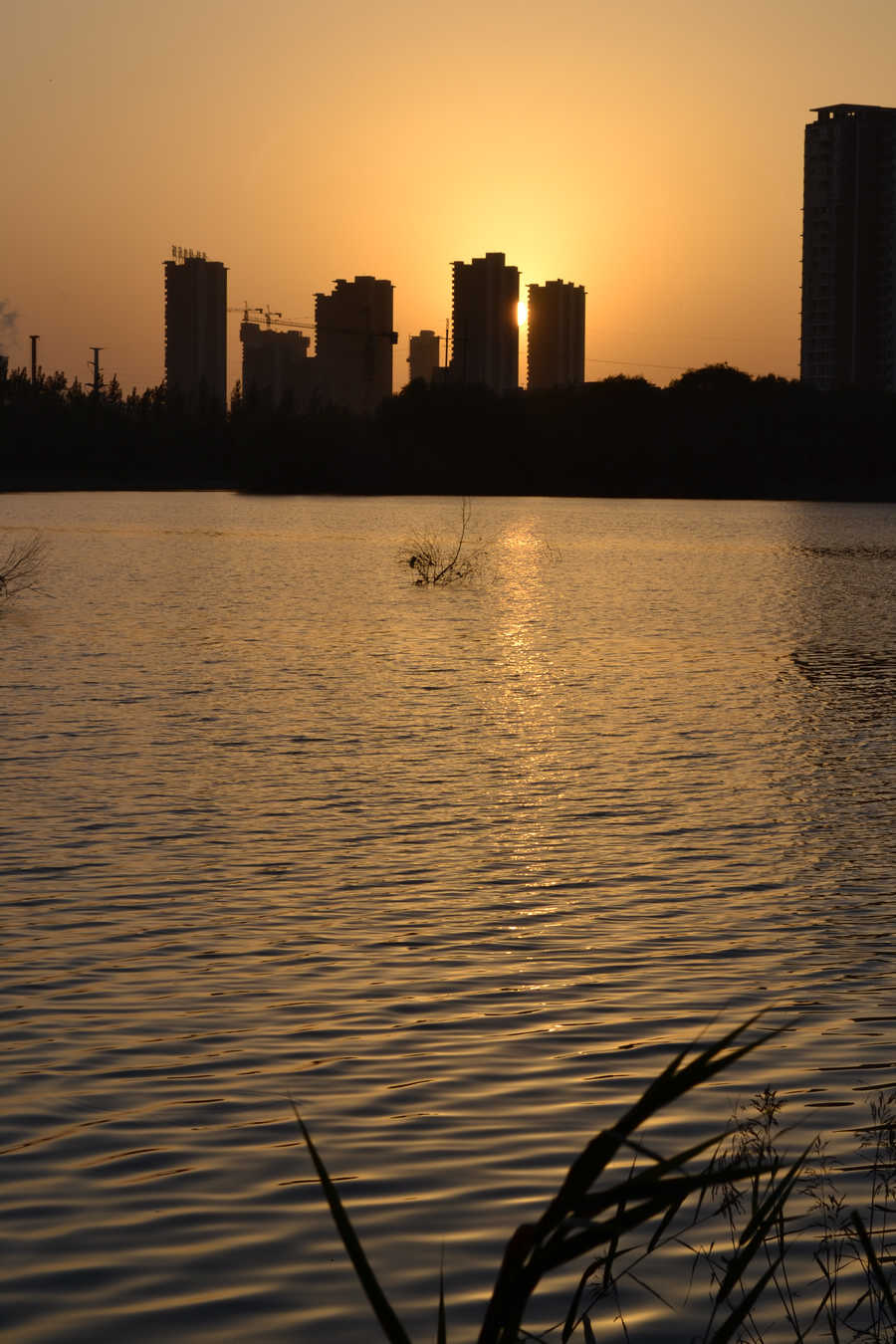DSC_0147.JPG