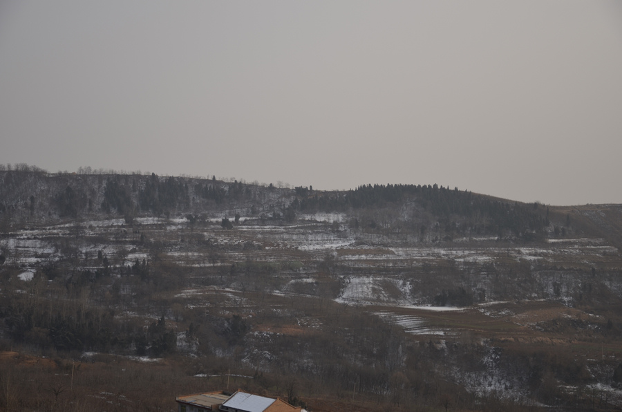 DSC_2132.JPG