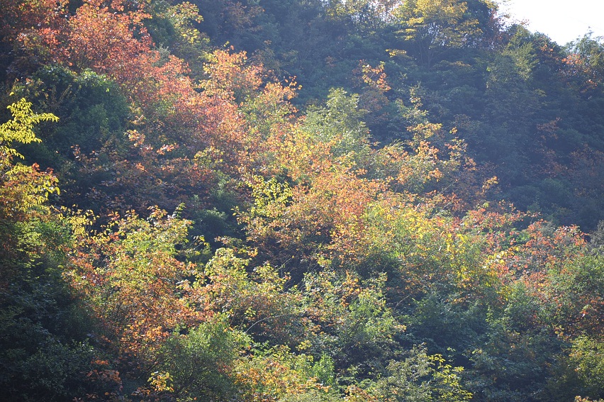 DSC_6883.JPG