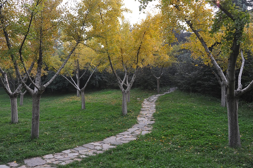 DSC_6996.JPG