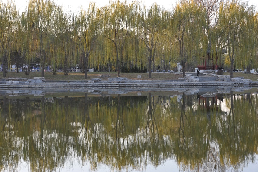 DSC_8711.JPG