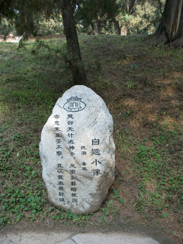 psbCA8KDC9E.jpg