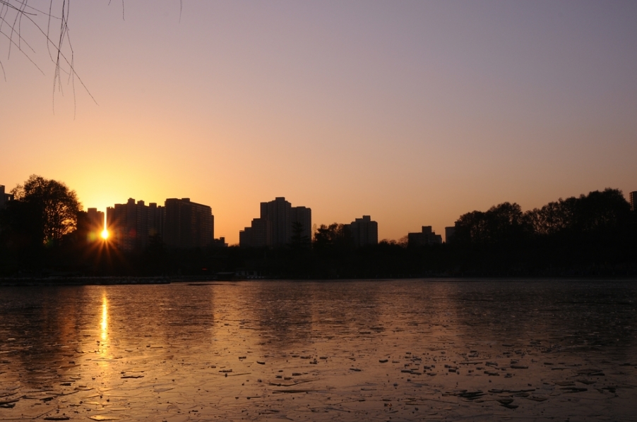 _DSC0392.JPG