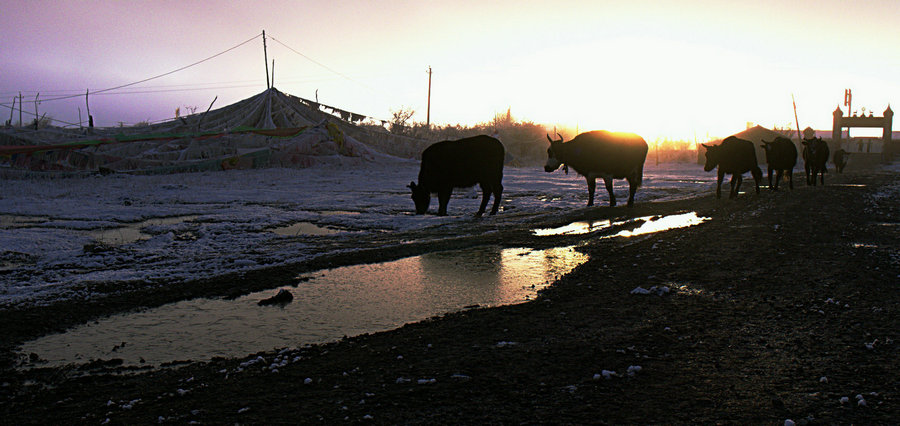 L1022870.jpg