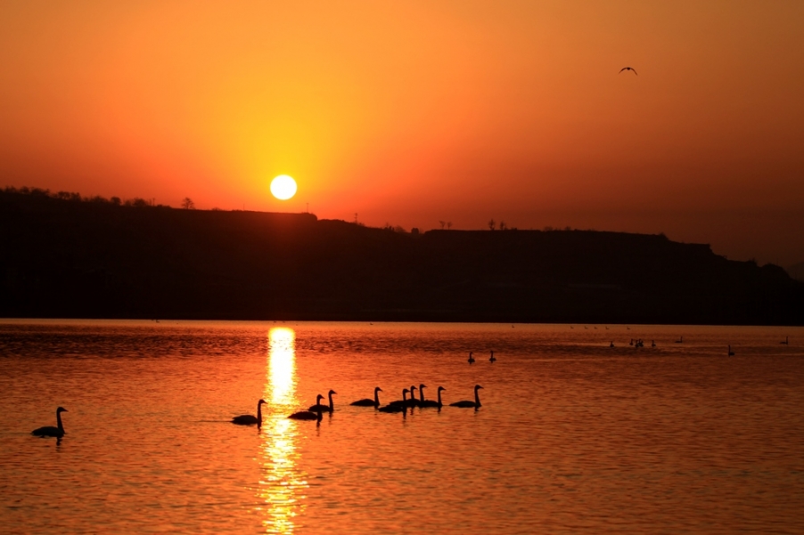 夕阳.jpg
