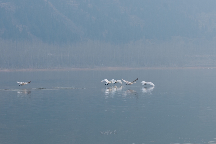 _DSC5654.jpg