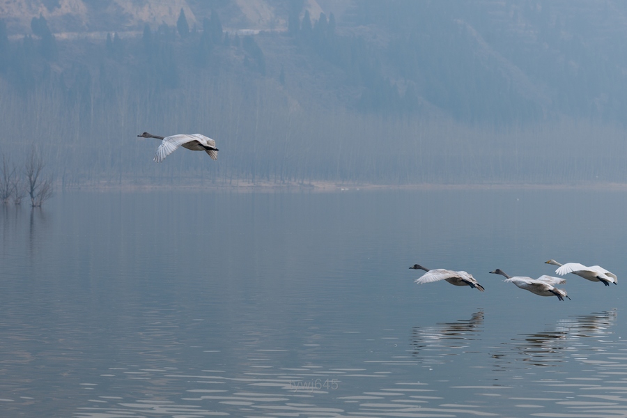 _DSC5656.jpg