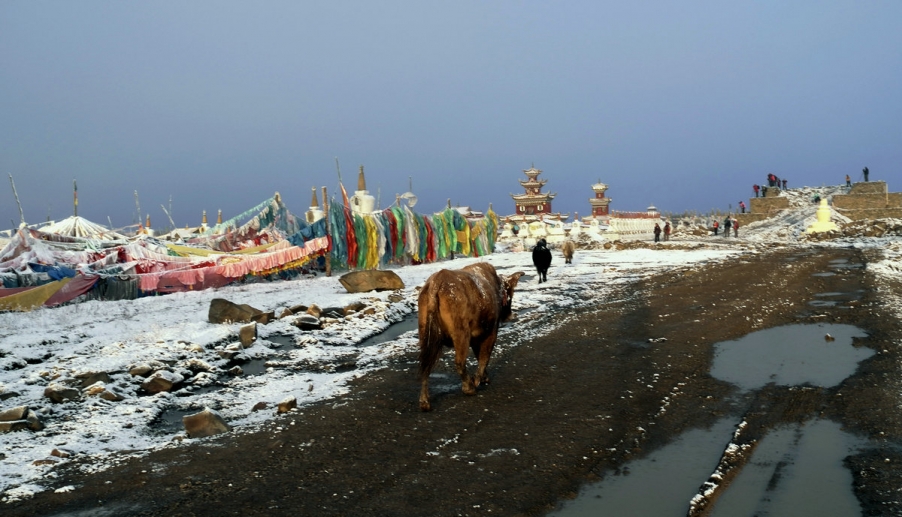L1022861.jpg