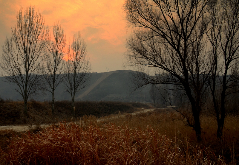 DSC_2214-001.jpg